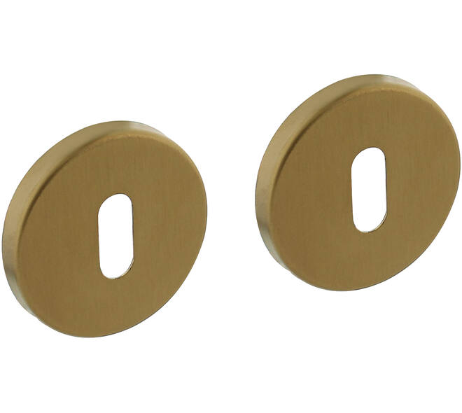Sleutelrozetten verdekt ø51x5mm met nokken PVD messing mat