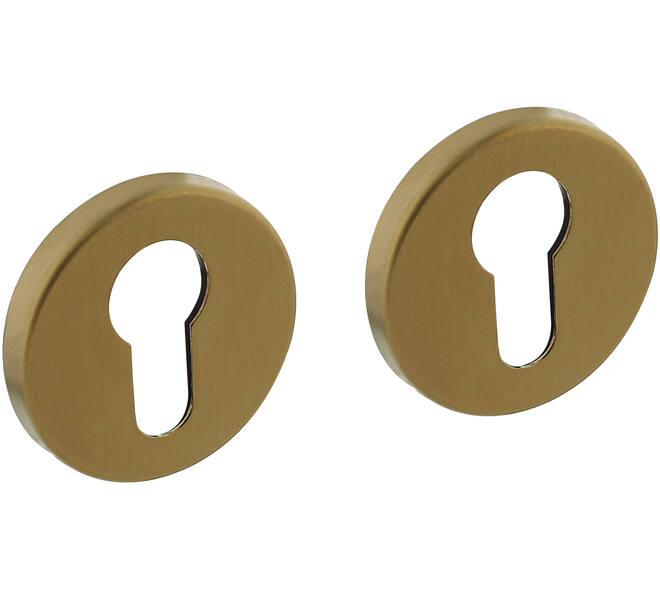 Cilinderrozetten verdekt ø51x5mm met nokken PVD messing mat