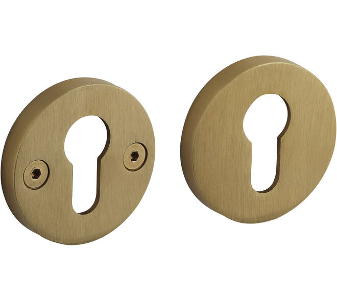 Cilinderrozetten éénzijdig verdekt ø55x8mm met nokken ø8mm PVD messing mat