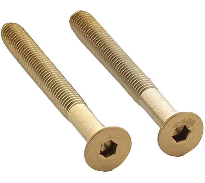 Set van 2 bouten 6-kant M5x48mm rvs PVD messing mat
