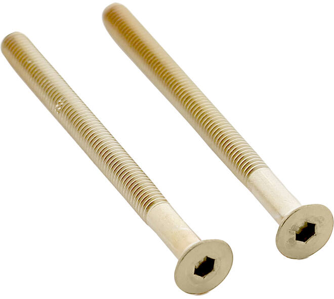 Set van 2 bouten 6-kant M5x65mm rvs PVD messing mat
