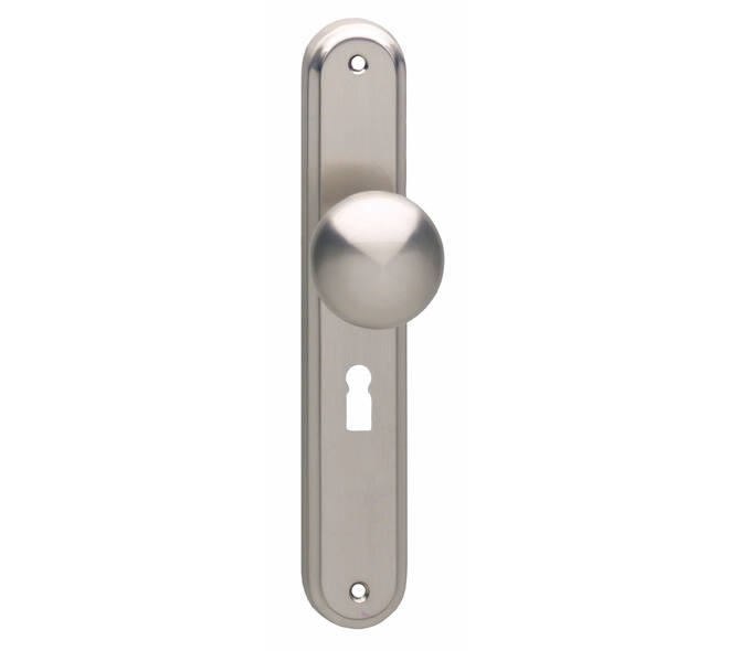 Knopschild ovaal 242x43x10mm met vaste knop paddenstoel en wisselstift sleutelgat 56mm nikkel mat
