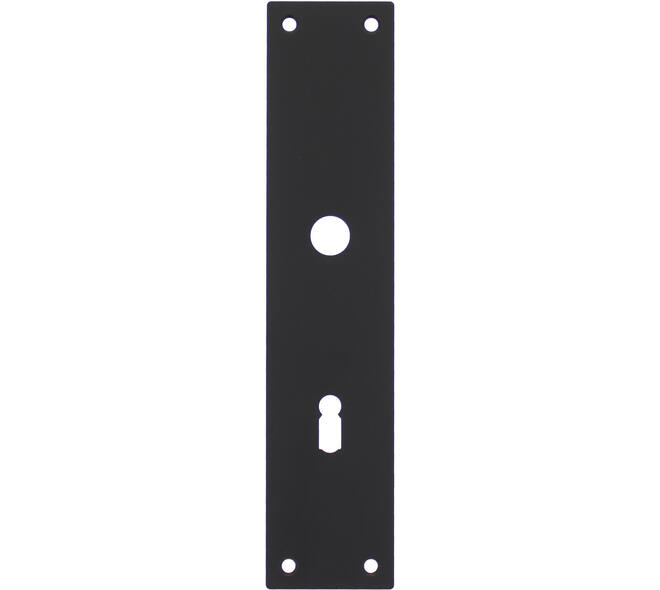 Schilden rechthoekig 250x55x2mm sleutelgat 72mm structuur zwart