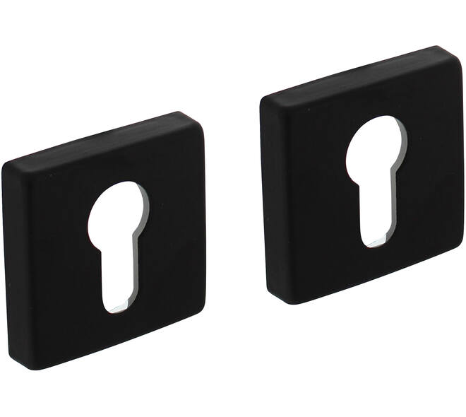 Cilinderrozetten verdekt 50x50x10mm met nokken zwart