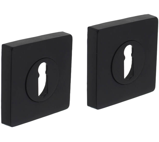 Sleutelrozetten verdekt 55x55x10mm met nokken zwart