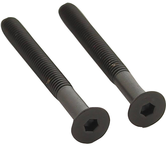 Set van 2 bouten 6-kant M5x48mm rvs PVD zwart