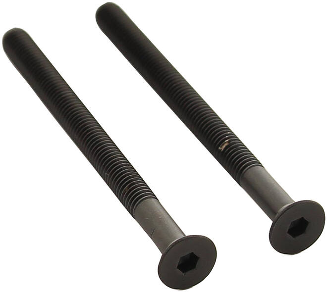 Set van 2 bouten 6-kant M5x65mm rvs PVD zwart