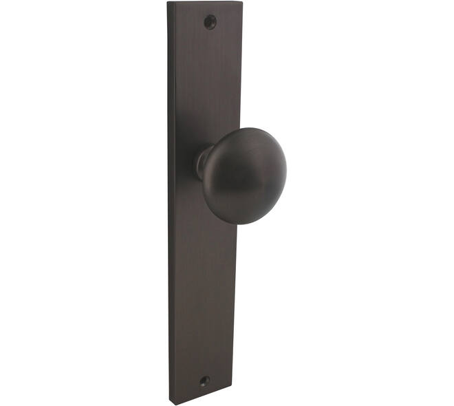 Knopschild rechthoekig 245x45x8mm met vaste knop paddenstoel en wisselstift blind antraciet grijs