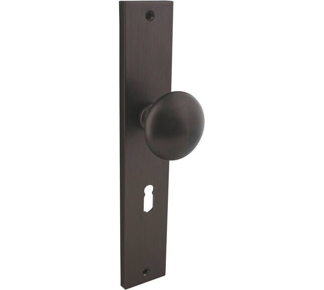 Knopschild rechthoekig 245x45x8mm met vaste knop paddenstoel en wisselstift sleutelgat 56mm antraciet grijs