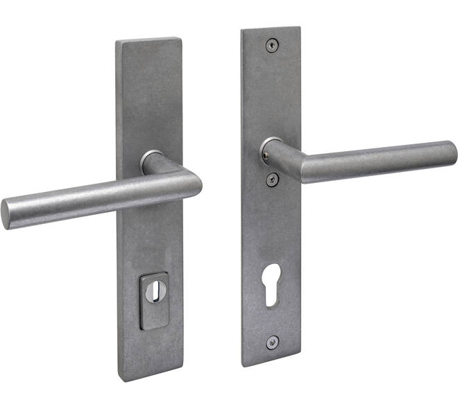 SKG3 veiligheidsbeslag rechthoekig 250x50mm kruk/kruk Jura met veerconstructie profielcilindergat 92mm met kerntrekbeveiliging rvs getrommeld