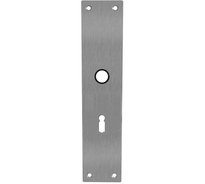 Schilden rechthoekig 250x55x2mm sleutelgat 56mm rvs