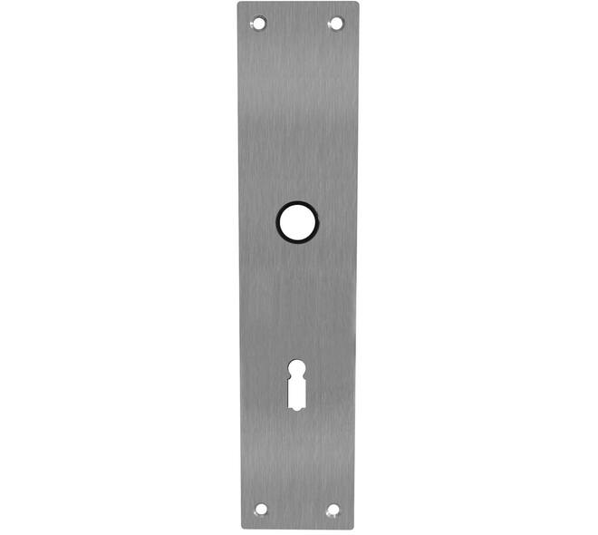 Schilden rechthoekig 250x55x2mm sleutelgat 72mm rvs