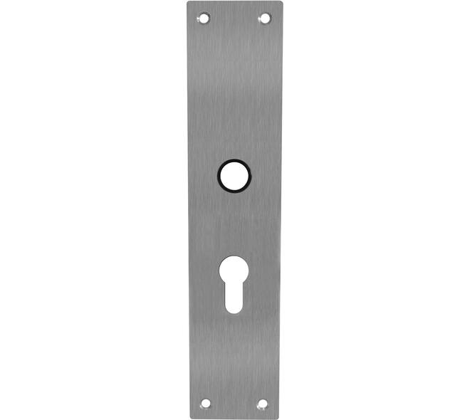 Schilden rechthoekig 250x55x2mm profielcilindergat 55mm rvs