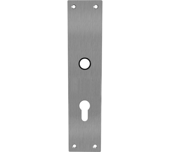 Schilden rechthoekig 250x55x2mm profielcilindergat 72mm rvs