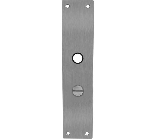 Schilden rechthoekig 250x55x2mm wc 63/8mm rvs