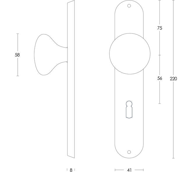 Knopschild ovaal 220x41x8mm met vaste knop paddenstoel sleutelgat 56mm rvs