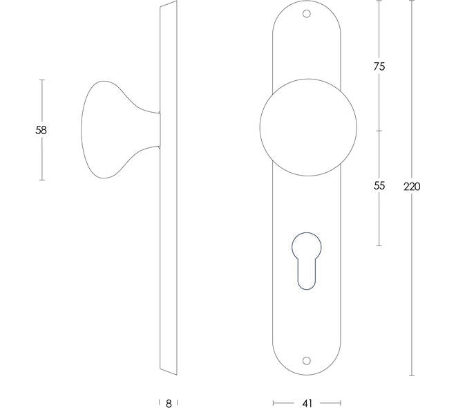Knopschild ovaal 220x41x8mm met vaste knop paddenstoel profielcilindergat 55mm rvs
