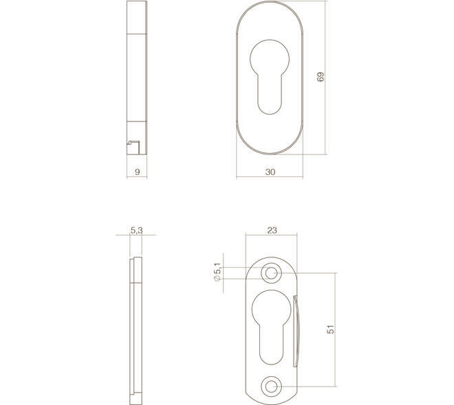 Veiligheid schuifrozet ovaal 69x30x9mm profielcilindergat rvs