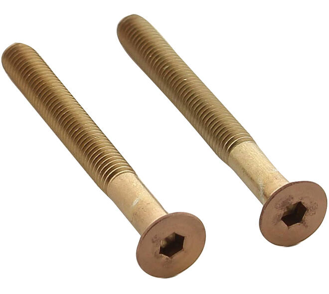 Set van 2 bouten 6-kant M5x48mm rvs PVD koper mat