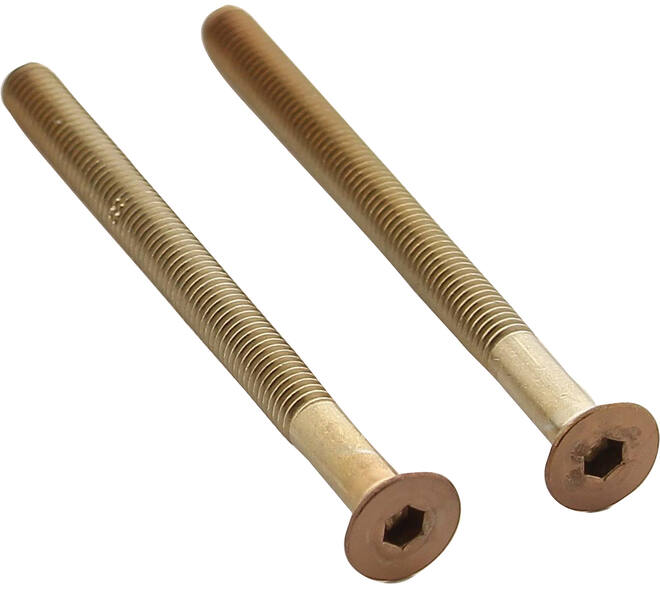Set van 2 bouten 6-kant M5x65mm rvs PVD koper mat