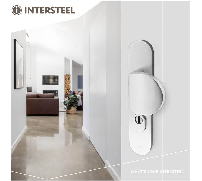 SKG3 veiligheidsbeslag ovaal 250x50mm greep/kruk Rond met veerconstructie profielcilindergat 55mm met kerntrekbeveiliging aluminium F1