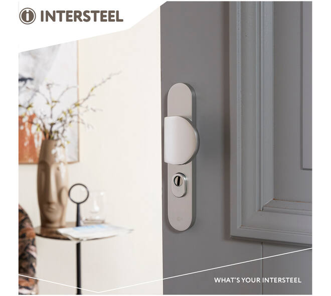 SKG3 veiligheidsbeslag ovaal 250x50mm greep/kruk Rond met veerconstructie profielcilindergat 72mm met kerntrekbeveiliging aluminium F1
