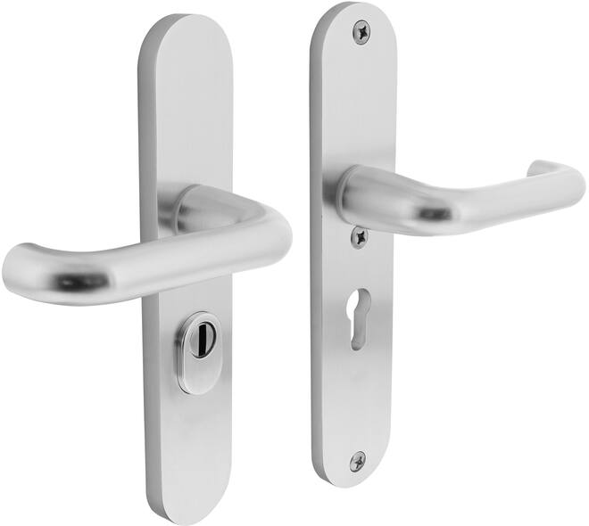 SKG3 veiligheidsbeslag ovaal 250x50mm kruk/kruk Rond met veerconstructie profielcilindergat 55mm met kerntrekbeveiliging aluminium F1
