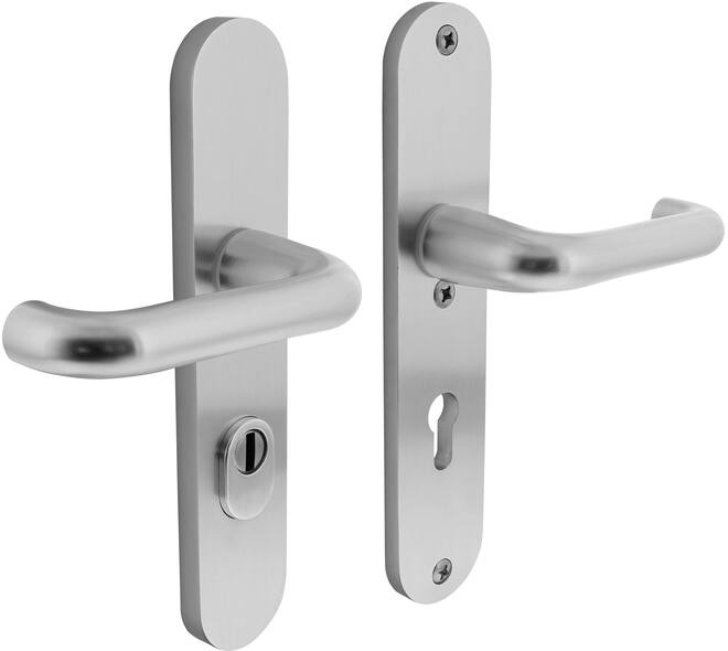 SKG3 veiligheidsbeslag ovaal 250x50mm kruk/kruk Rond met veerconstructie profielcilindergat 72mm met kerntrekbeveiliging aluminium F1