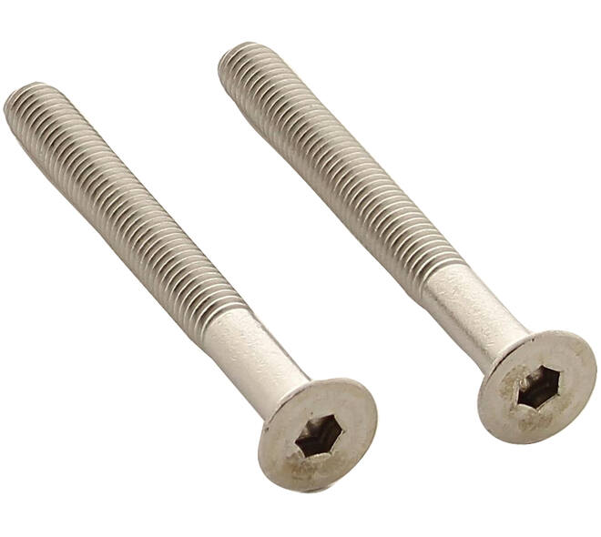 Set van 2 bouten 6-kant M5x48mm rvs
