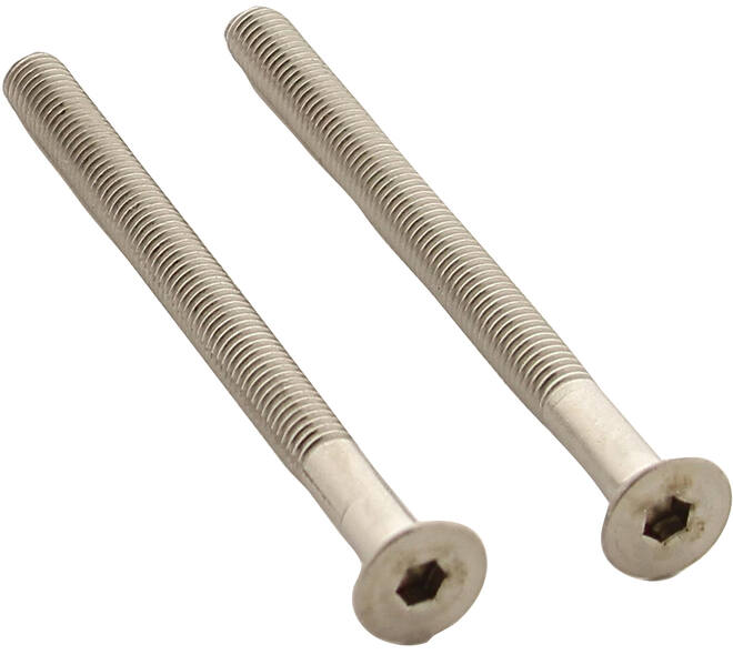 Set van 2 bouten 6-kant M5x65mm rvs