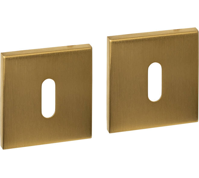 Sleutelrozetten verdekt 53x53x6mm PVD messing mat