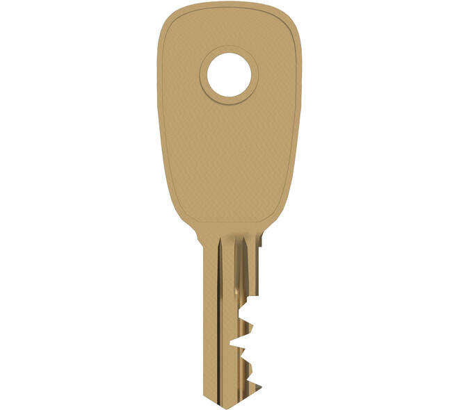 SecuMax sleutel tbv 806, 807 en 832 nr. D210 (1)