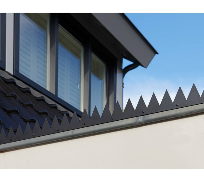 SecuMax Anti-Klimstrip Staal Blackline, 100cm, vlak (2)