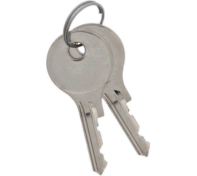Sleuteltjes 2D110 t.b.v. espagnolet per setje (2 St)