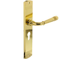 Deurkruk Helena op schild afgerond 235x45mm profielcilindergat 55mm PVD messingkleur