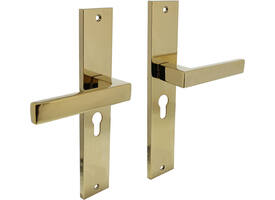 Deurkruk Hera op schild rechthoekig 245x45mm profielcilindergat 55mm PVD messingkleur