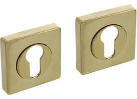 Cilinderrozetten verdekt 55x55x10mm met nokken PVD messingkleur