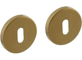 Sleutelrozetten verdekt ø51x5mm met nokken PVD messing mat
