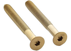 Set van 2 bouten 6-kant M5x48mm rvs PVD messing mat
