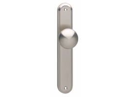 Knopschild ovaal 242x43x10mm met vaste knop paddenstoel en wisselstift blind nikkel mat