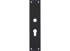 Schilden rechthoekig 250x55x2mm profielcilindergat 55mm structuur zwart
