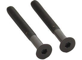 Set van 2 bouten 6-kant M5x48mm rvs PVD zwart