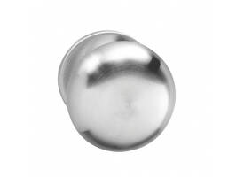 Knoprozet verdekt ø53x5mm met nokken en vaste knop paddenstoel rvs