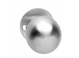 Knoprozet Ø51x2mm met vaste knop bol rvs