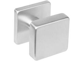 Knoprozet verdekt 53x53x8mm met nokken en vaste knop vierkant met wisselstift rvs