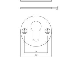 Cilinderrozetten Ø51x2mm rvs
