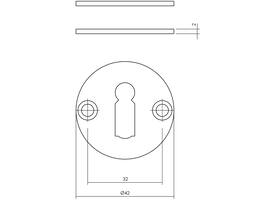 Sleutelrozetten ø42x2mm rvs