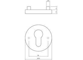 Cilinderrozetten verdekt ø53x8mm met nokken rvs