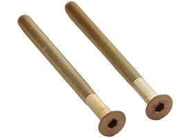 Set van 2 bouten 6-kant M5x65mm rvs PVD koper mat