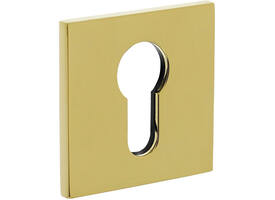 Olivari pc-rozet vierkant 51x5mm met nokken en doorgaande bevestiging Messing titaan PVD